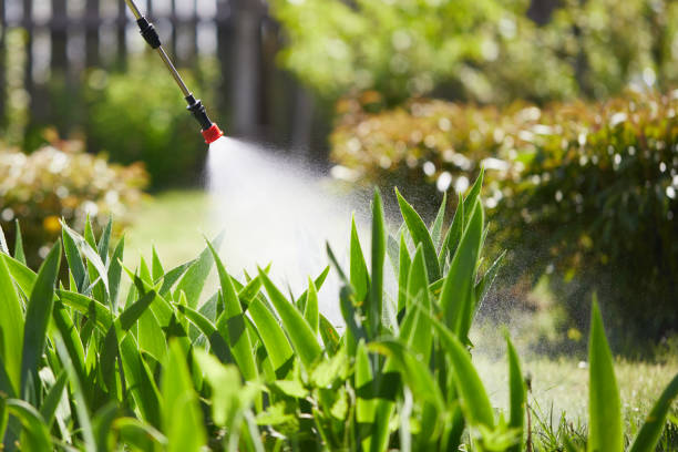 24/7 Emergency Mosquito Control experts in Rotonda, FL