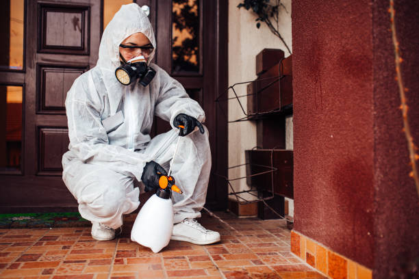Reliable Mosquito Control contractor in Rotonda, FL by Show Me Pest Control